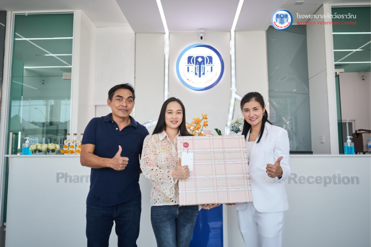 โรงพยาบาลสัตว์เอราวัณ (Erawan Pet Hospital)