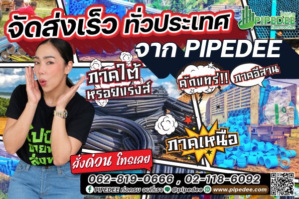 ไปป์ดี_ส่งเร็ว