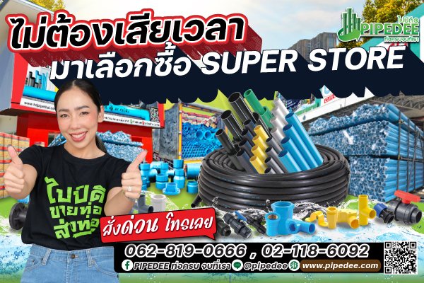 pipedee โรเลย