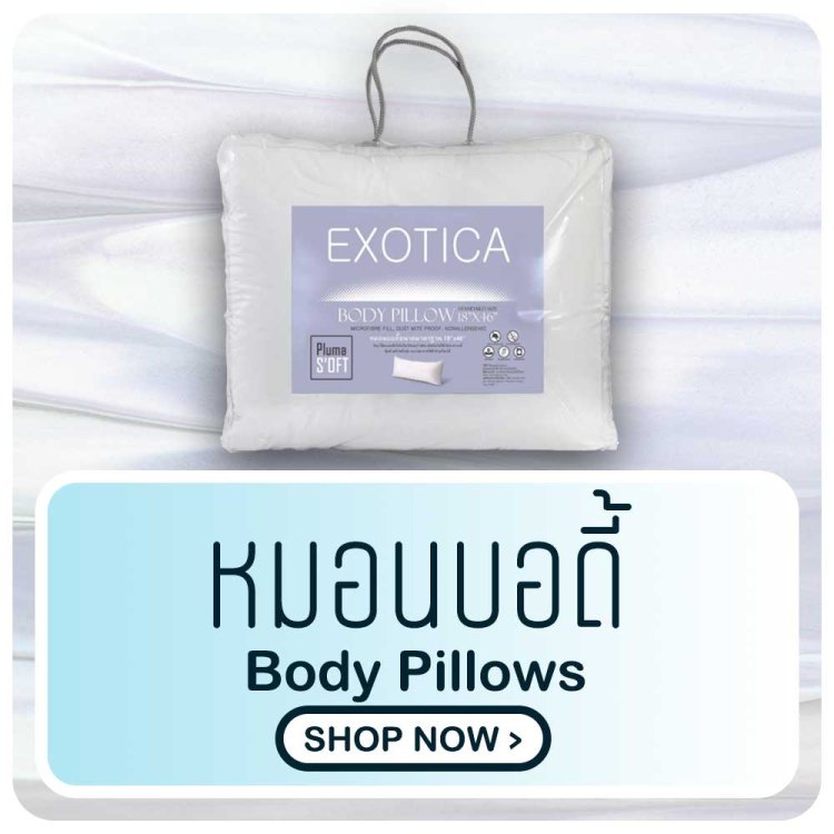 หมอนบอดี้ body pillows exotica