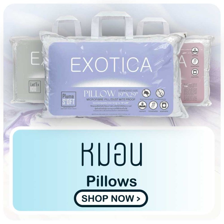 หมอน pillows exotica