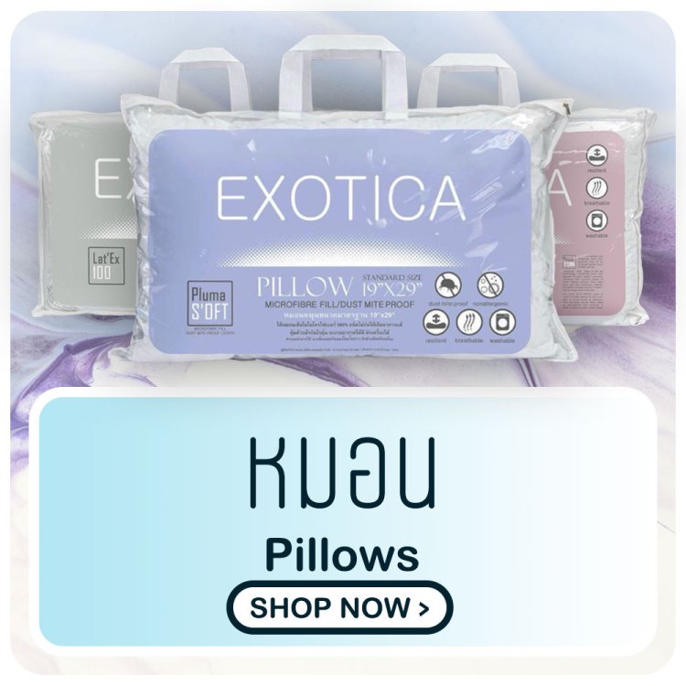 หมอน pillows exotica
