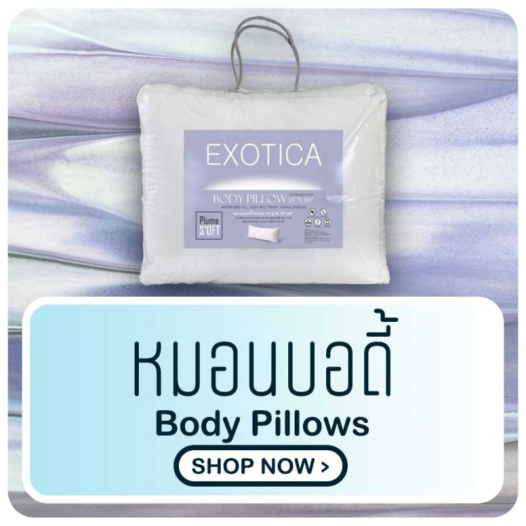 หมอนบอดี้ body pillows exotica