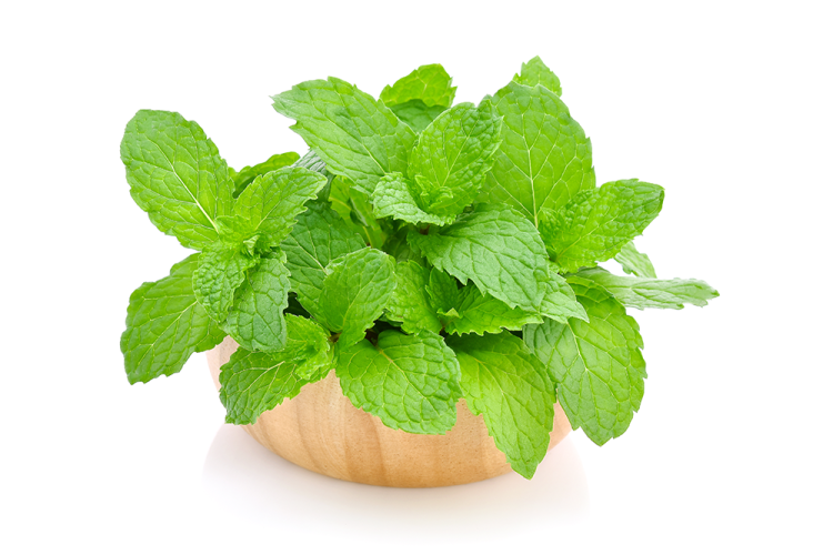 Spearmint_และ_Peppermint_ส่วนผสม_GRD