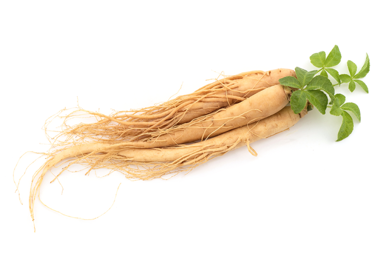 โสมไซบีเรียน ส่วนผสม GRD