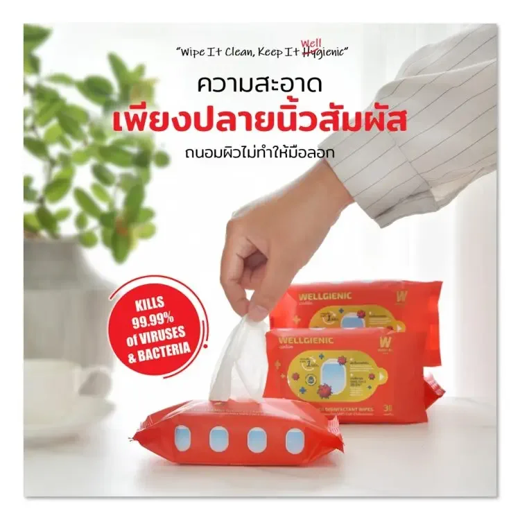 บริการกำจัดไรฝุ่น