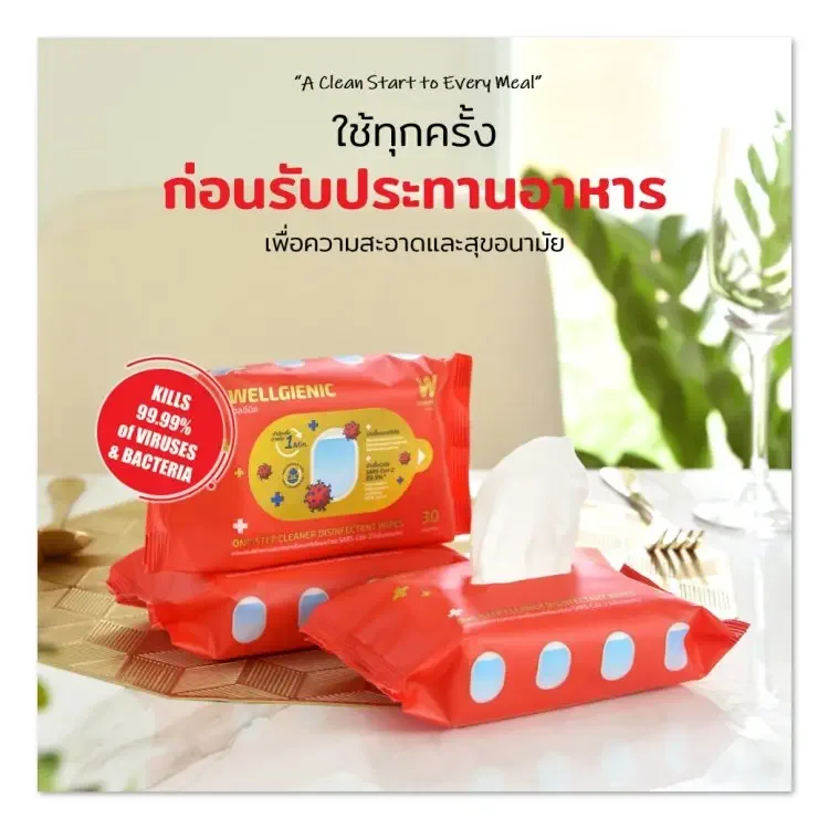 บริการกำจัดไรฝุ่น