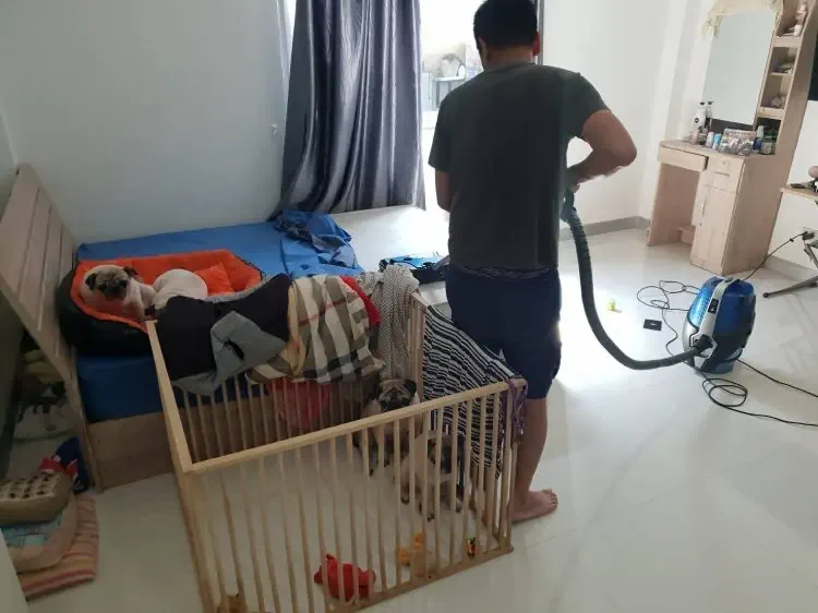 บริการกำจัดไรฝุ่น