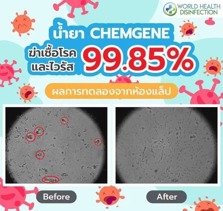 บริการกำจัดไรฝุ่น