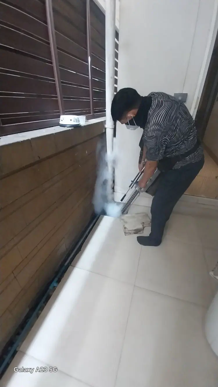 บริการพ่นยุง