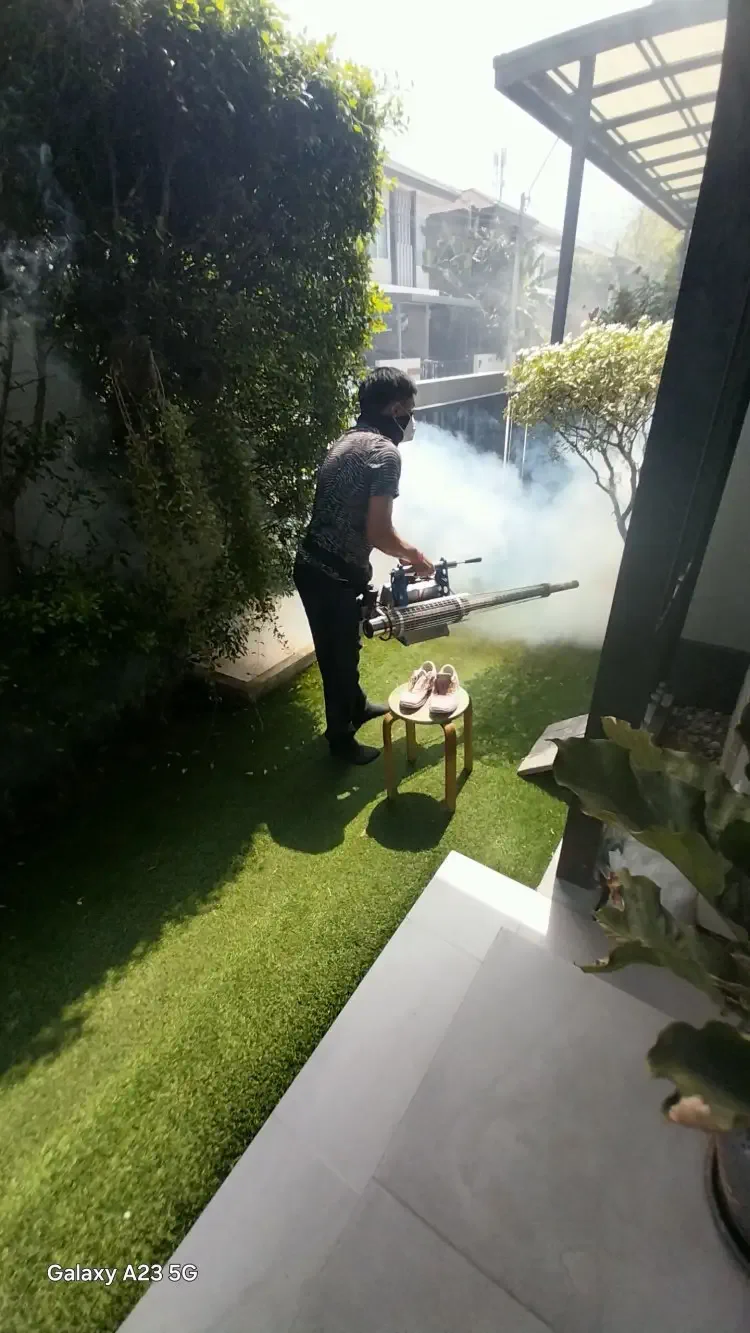 บริการพ่นยุง