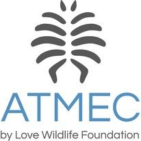 Scuba diving thailand Thai ocean academy