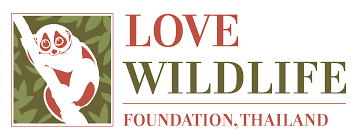 Scuba diving thailand Thai ocean academy