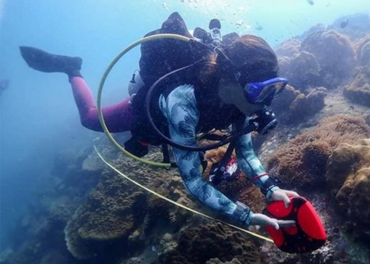 Thai Ocean Academy Marine restoration training program Thailand
