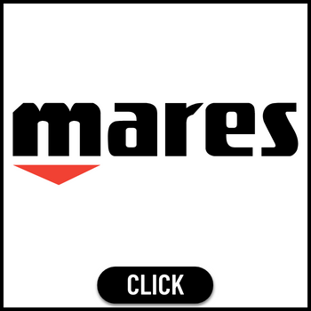 mares - Thai Ocean Academy