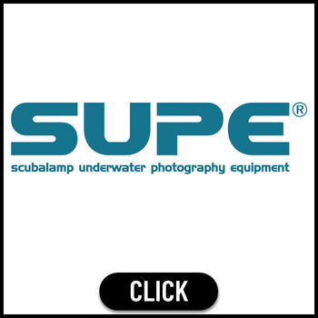 scuba lamp - Thai Ocean Academy