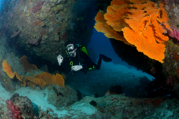 scuba diving thailand