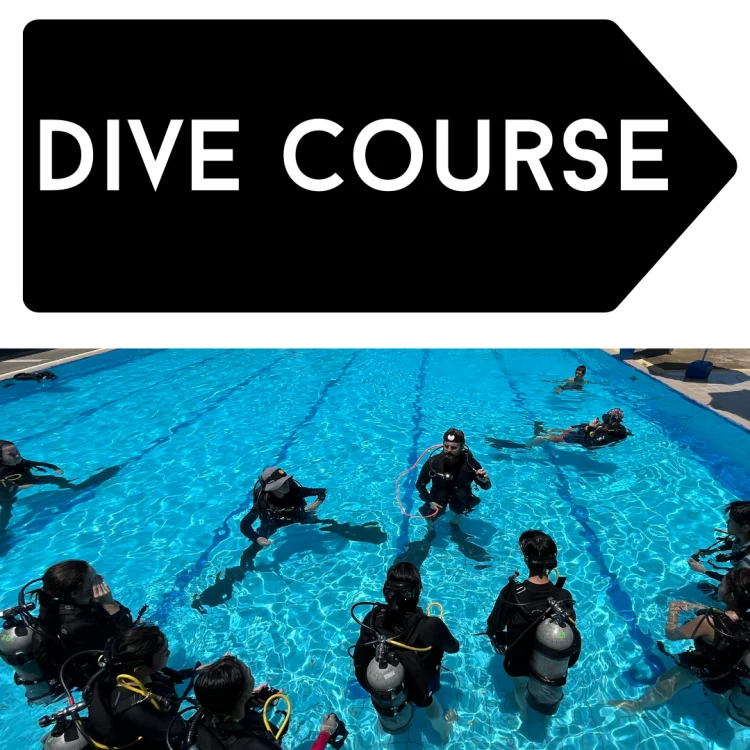 dive course