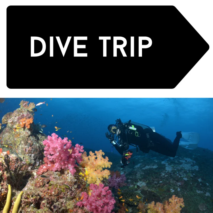 dive trip