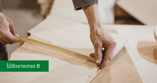 ไม้อัดเกรด B สำหรับงานโครง งานก่อสร้าง ปูพื้น/แบบหล่อ HomeWood103