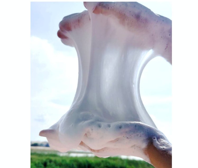 เบสฟองนุ่ม