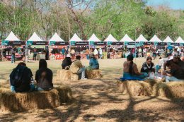 เทศกาลดนตรีแฝด