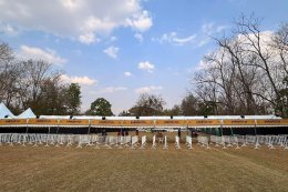 เทศกาลดนตรีแฝด