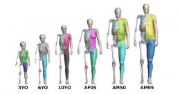 โตโยต้า เปิดซอฟต์แวร์ THUMS เทคโนโลยีจำลองร่างกายมนุษย์แบบเสมือนจริงให้ใช้ได้ฟรี