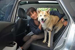 เชฟโรเลตแนะเคล็ดลับนำสัตว์เลี้ยงเที่ยวอย่างปลอดภัยในวันหยุด 