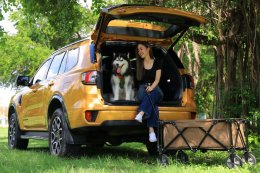 Ford_Traveling_with_Pets