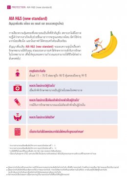 AIA H&S