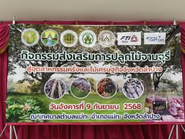 เอ็น เอส เอ็นเนอร์ยี่ ร่วมกิจกรรมแจกต้นกล้าฉำฉา จำนวน 3,000 ต้นให้แก่เกษตรกรที่สนใจ อำเภอแม่ทะ จังหวัดลำปาง