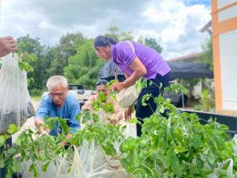 เอ็น เอส เอ็นเนอร์ยี่ ร่วมกิจกรรมแจกต้นกล้าฉำฉา จำนวน 3,000 ต้นให้แก่เกษตรกรที่สนใจ อำเภอแม่ทะ จังหวัดลำปาง