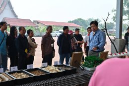 เอ็น เอส เอ็นเนอร์ยี่ ต้อนรับคณะศึกษาดูงานและส่งเสริมการสร้างอาชีพอย่างยั่งยืน ณ จังหวัดลำปาง