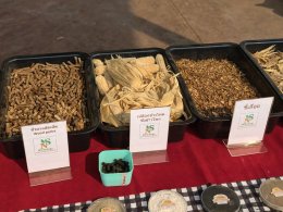 เอ็น เอส เอ็นเนอร์ยี่ ต้อนรับคณะศึกษาดูงานและส่งเสริมการสร้างอาชีพอย่างยั่งยืน ณ จังหวัดลำปาง