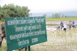 คณะเกษตรศาสตร์และทรัพยากรธรรมชาติ มหาวิทยาลัยพะเยา ร่วมกับ สำนักงานเกษตรอำเภอแม่ใจ จัดโครงการส่งเสริมและพัฒนาการผลิตข้าวคุณภาพ