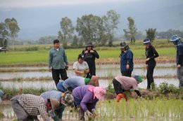 คณะเกษตรศาสตร์และทรัพยากรธรรมชาติ มหาวิทยาลัยพะเยา ร่วมกับ สำนักงานเกษตรอำเภอแม่ใจ จัดโครงการส่งเสริมและพัฒนาการผลิตข้าวคุณภาพ