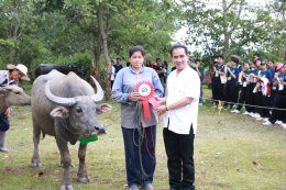 คณะเกษตรศาสตร์และทรัพยากรธรรมชาติ มหาวิทยาลัยพะเยา จัดโครงการทำนุบำรุงศิลปะและวัฒนธรรม "พิธีสู่ขวัญควาย สร้างจิตสำนึก ระลึกถึงคุณค่าของควายต่อชุมชน"