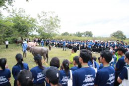 คณะเกษตรศาสตร์และทรัพยากรธรรมชาติ มหาวิทยาลัยพะเยา จัดโครงการทำนุบำรุงศิลปะและวัฒนธรรม "พิธีสู่ขวัญควาย สร้างจิตสำนึก ระลึกถึงคุณค่าของควายต่อชุมชน"