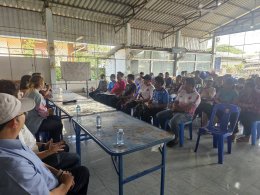 UP and KU on Vegetable Farming Innovation in Climate-Vulnerable Areas of Phayao.