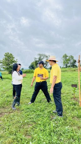 Robusta Coffee Planting Activity to Promote Quality Production in Lowland Areas