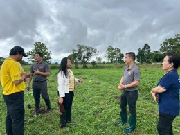 Robusta Coffee Planting Activity to Promote Quality Production in Lowland Areas