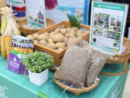 UPs School of Agriculture Joins Mobile Agricultural Clinic in Chiang Muan