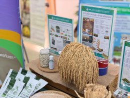 UPs School of Agriculture Joins Mobile Agricultural Clinic in Chiang Muan