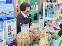 UPs School of Agriculture Joins Mobile Agricultural Clinic in Chiang Muan
