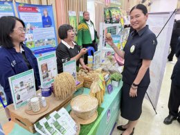 UPs School of Agriculture Joins Mobile Agricultural Clinic in Chiang Muan