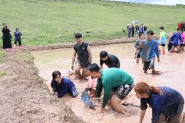 University of Phayao Hosts Preserving the Traditional Rice Planting Way of Life Activity to Promote Lanna Wisdom through Integrated Learning