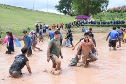 University of Phayao Hosts Preserving the Traditional Rice Planting Way of Life Activity to Promote Lanna Wisdom through Integrated Learning