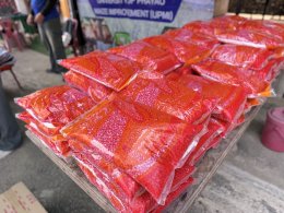 UP Hosts "Field Day 2026" in Lampang to Boost Farmers' Income with New Hybrid Corn