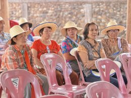 UP Hosts "Field Day 2026" in Lampang to Boost Farmers' Income with New Hybrid Corn